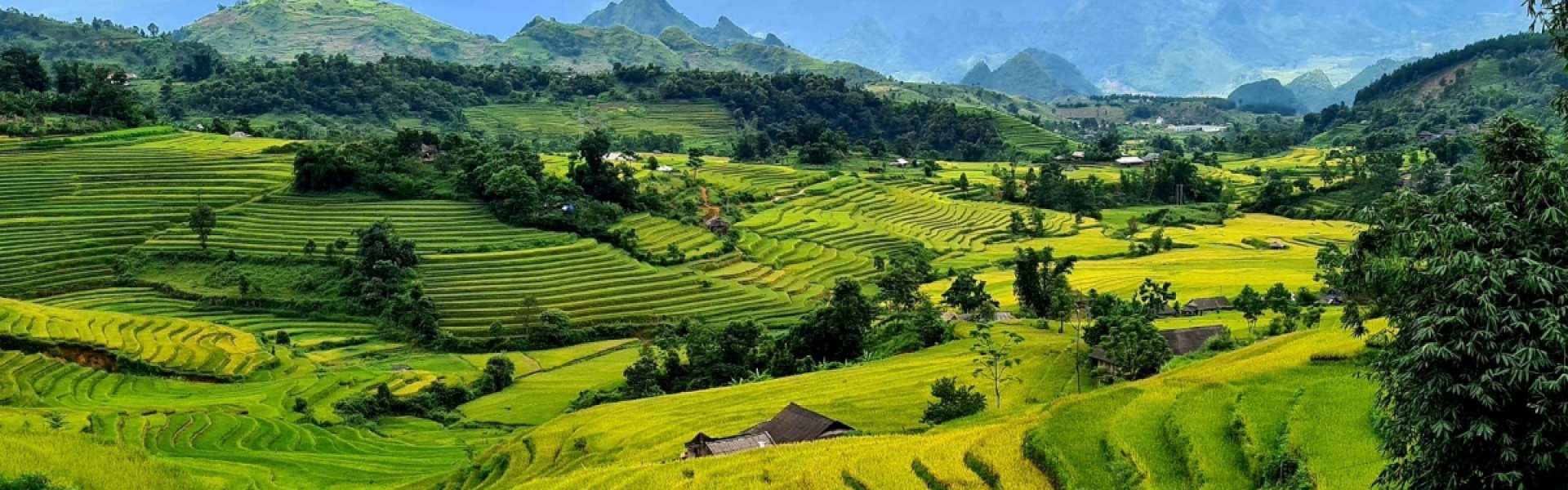 Lai Chau