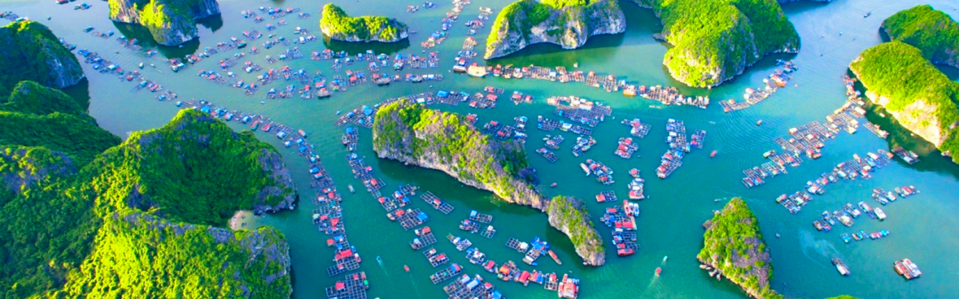 Hai phong