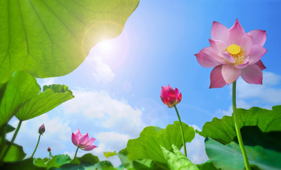 Top 05 reasons Vietnam should be on every traveler’s bucket list