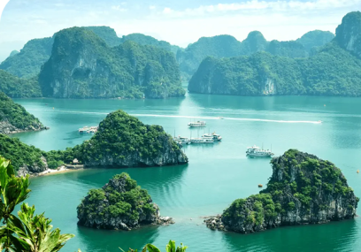 DISCOVER VIETNAM’S NATURAL WORLD