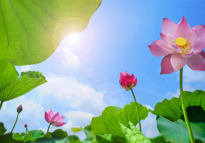 Top 05 reasons Vietnam should be on every traveler’s bucket list