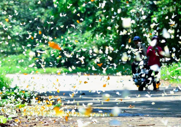 Explore Vietnam’s oldest National Park in Cuc Phuong