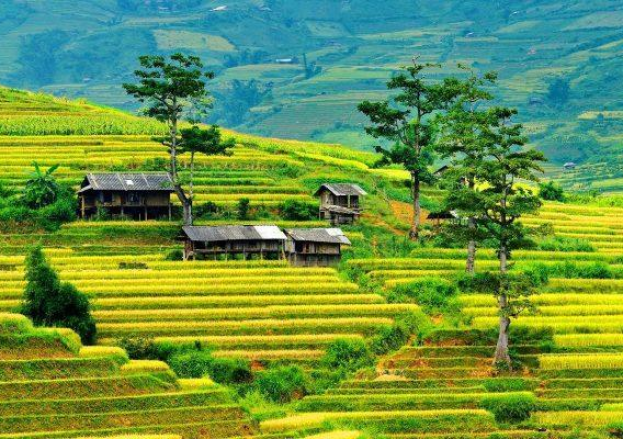 Trek into the timeless beauty of Mu Cang Chai’s terraced highlands