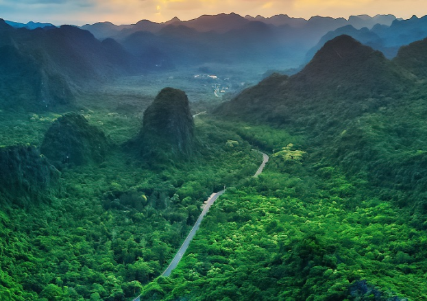 Trek the pristine trails of Cat Ba National Park and spot endangered wildlife