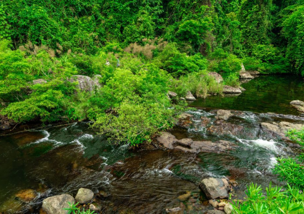 Following the Untouched Trails Through the Pristine Forests of Khe Ro