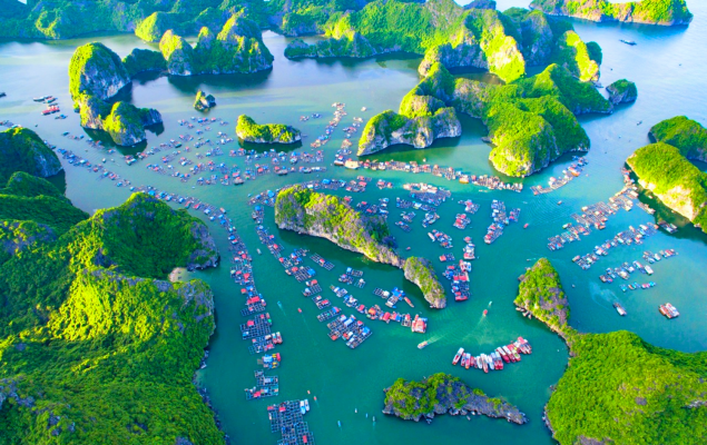https://visitvietnam.org.vn/backend/public/cities/687db9321cb3b.png