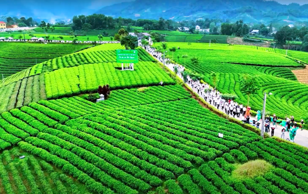 https://visitvietnam.org.vn/backend/public/cities/687dec46638bc.png