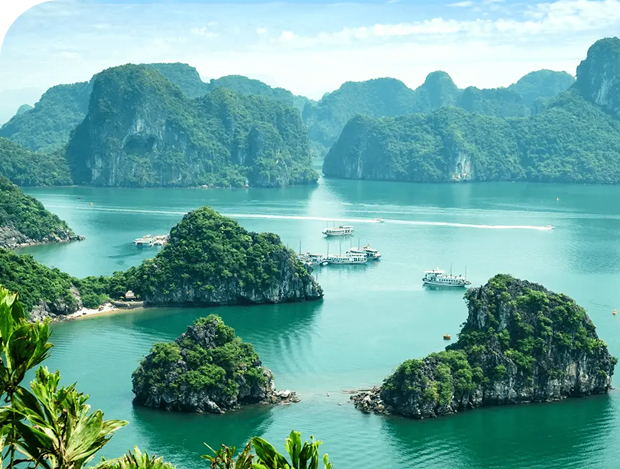 DISCOVER VIETNAM’S NATURAL WORLD
