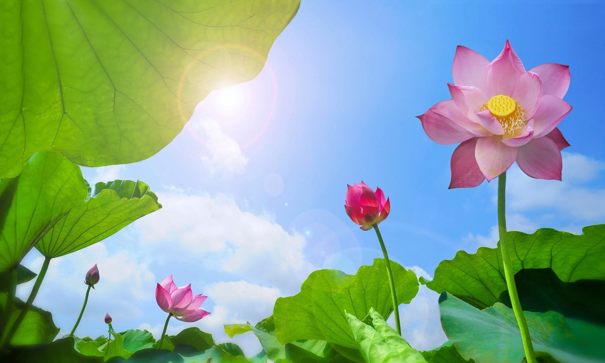 Top 05 reasons Vietnam should be on every traveler’s bucket list