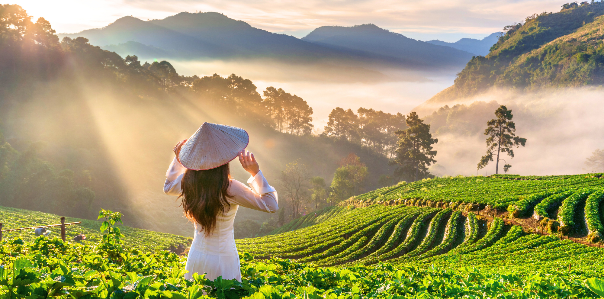 Complete guide to the best time to visit Vietnam