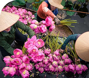 Living Heritage: Iconic Symbols of Vietnamese Culture