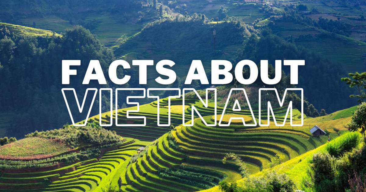 Hiking Through Bac Giang’s Untamed Wilderness - test