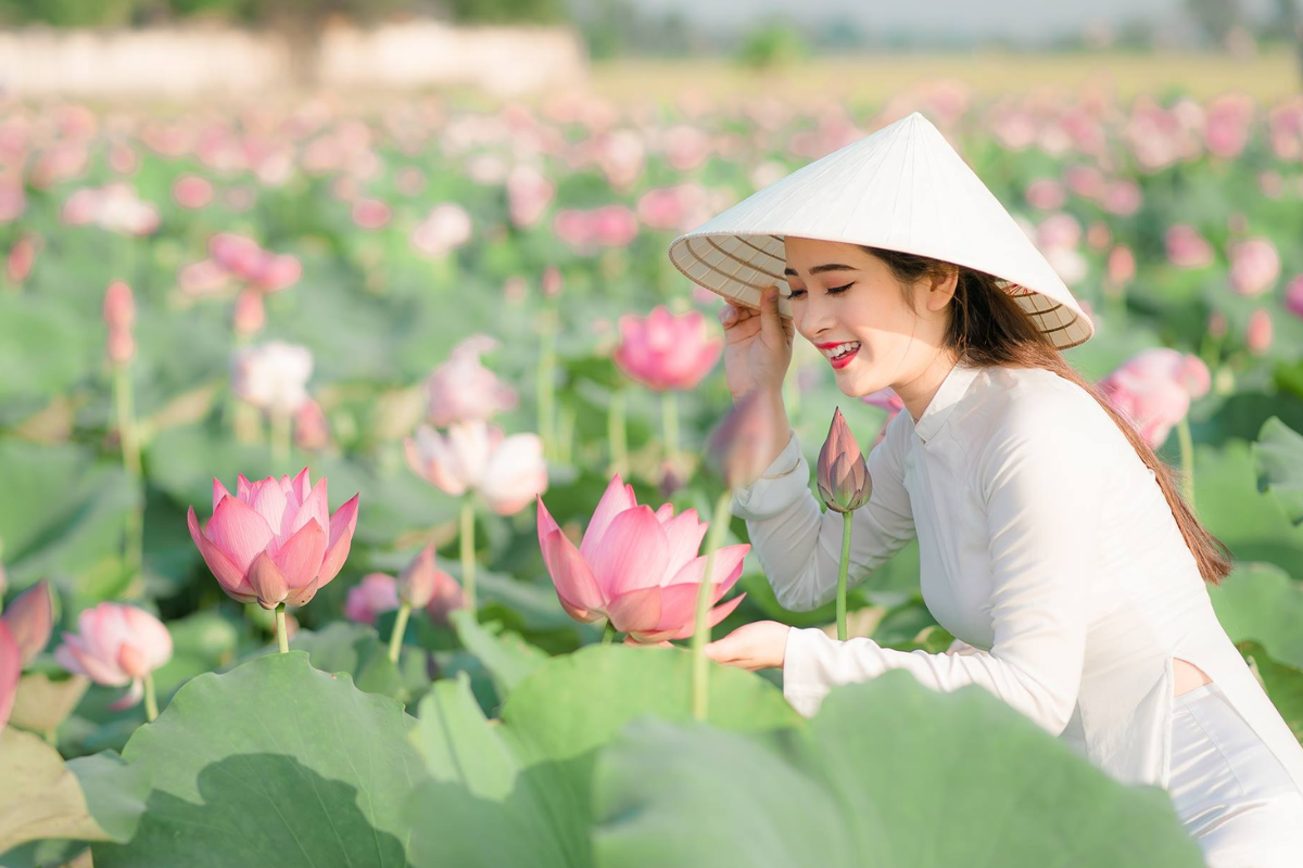 The Conical Hat – An Icon of Vietnam’s Rural and Cultural Life