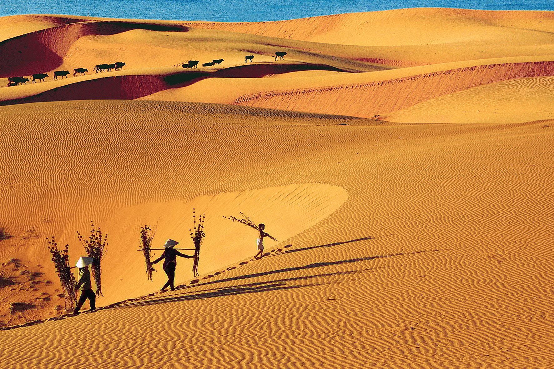 Step into the Dreamy Sands of Mui Ne’s Mini Desert