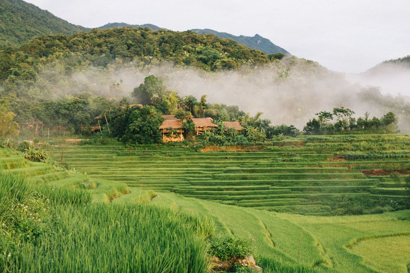 Pu Luong nature retreat: A journey into eco-friendly exploration and local culture