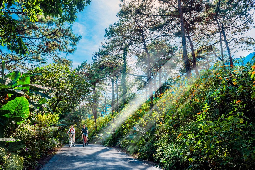 Explore breathtaking views on a Ba Vi National Park Trek