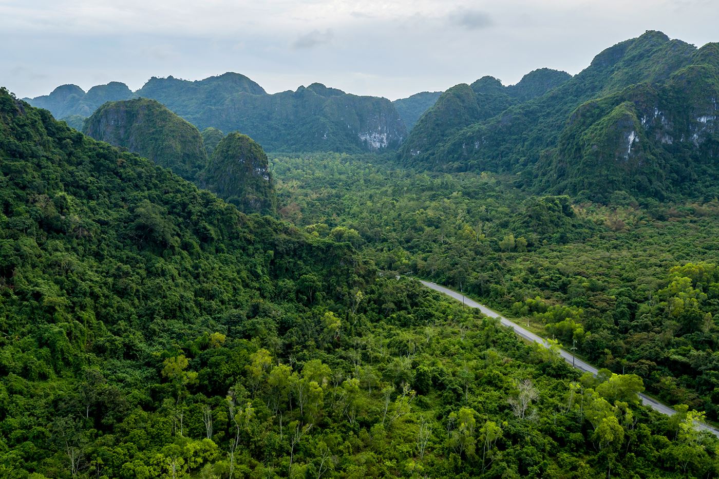 Discover Cat Ba National Park – the green lung thriving amidst the sea