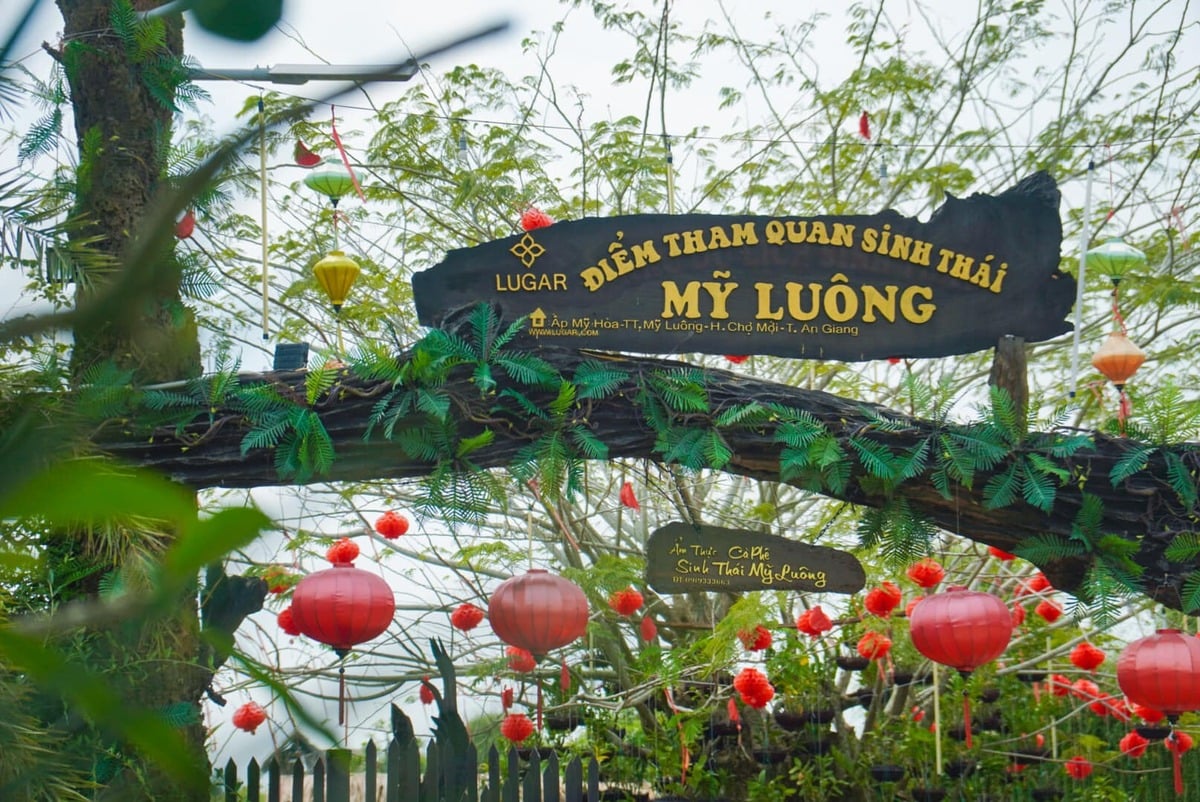 Immerse yourself in the natural wonders of My Luong