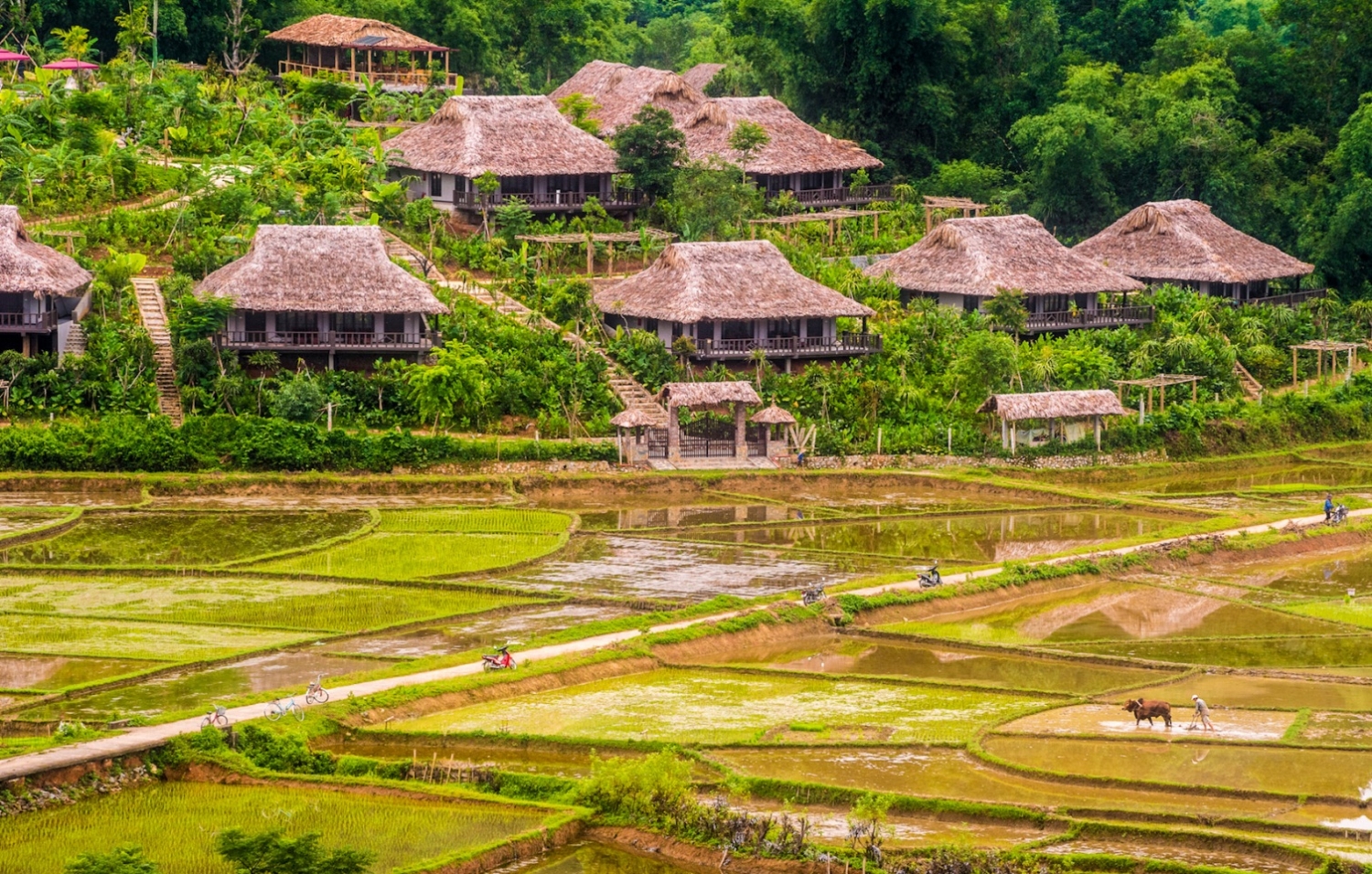 Experience life in Ban Lac on a journey to old Mai Chau