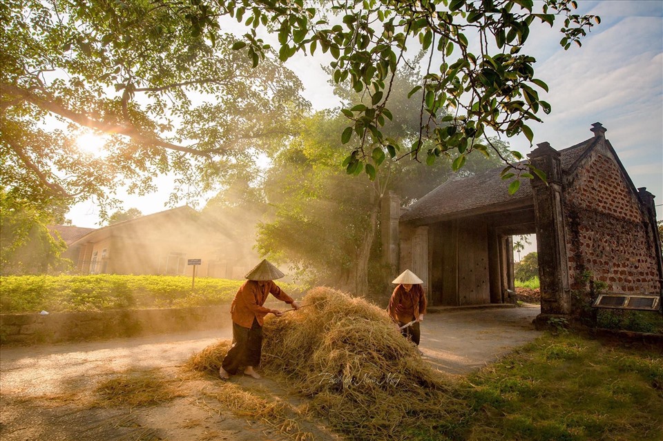 Exploring the thousand-year cultural heritage of Duong Lam Ancient Village
