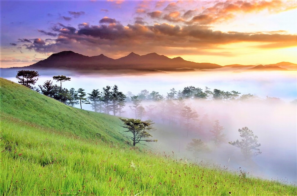 The Timeless Charm of Lang Biang in Vietnam’s Central Highlands