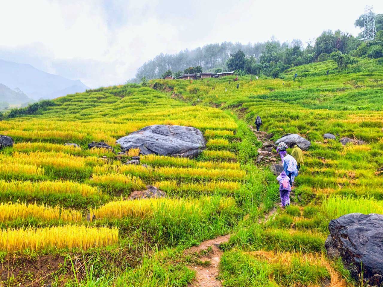 Embark on the trekking route to Ngoc Linh – the Roof of Kon Tum