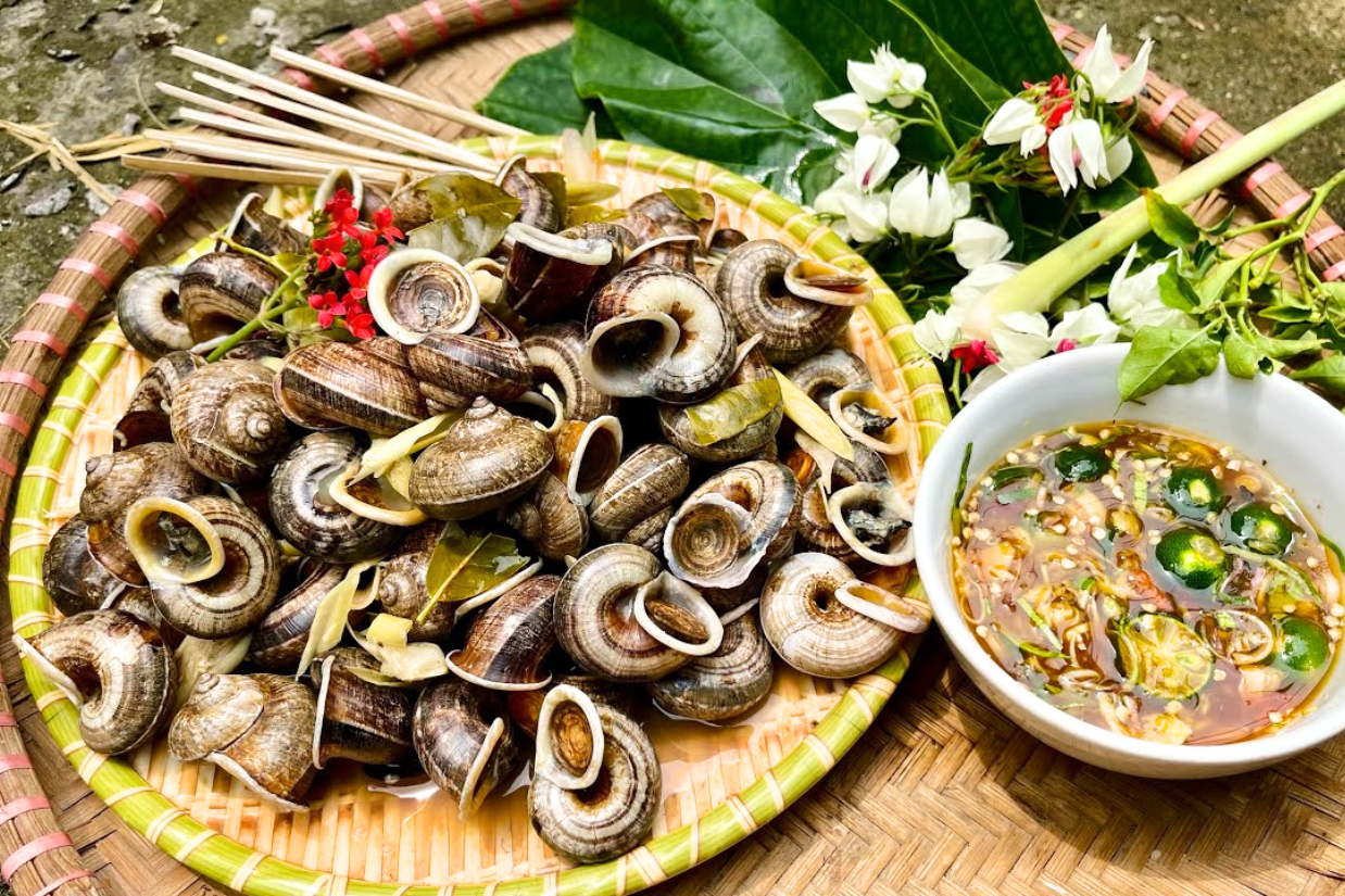 Savor Ninh Binh’s specialty – the unique Mountain Snails of Ninh Binh