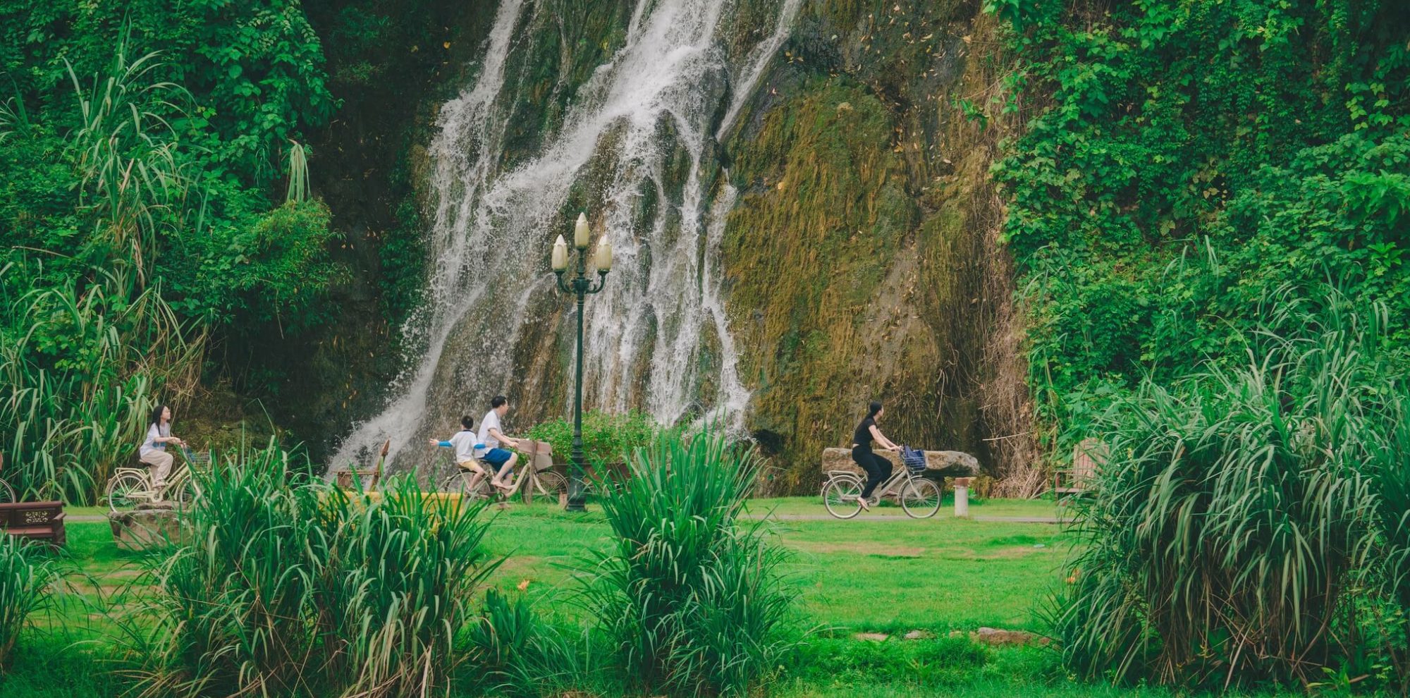 Dong Chuong Lake Pine Hill – A green paradise in the heart of Ninh Binh
