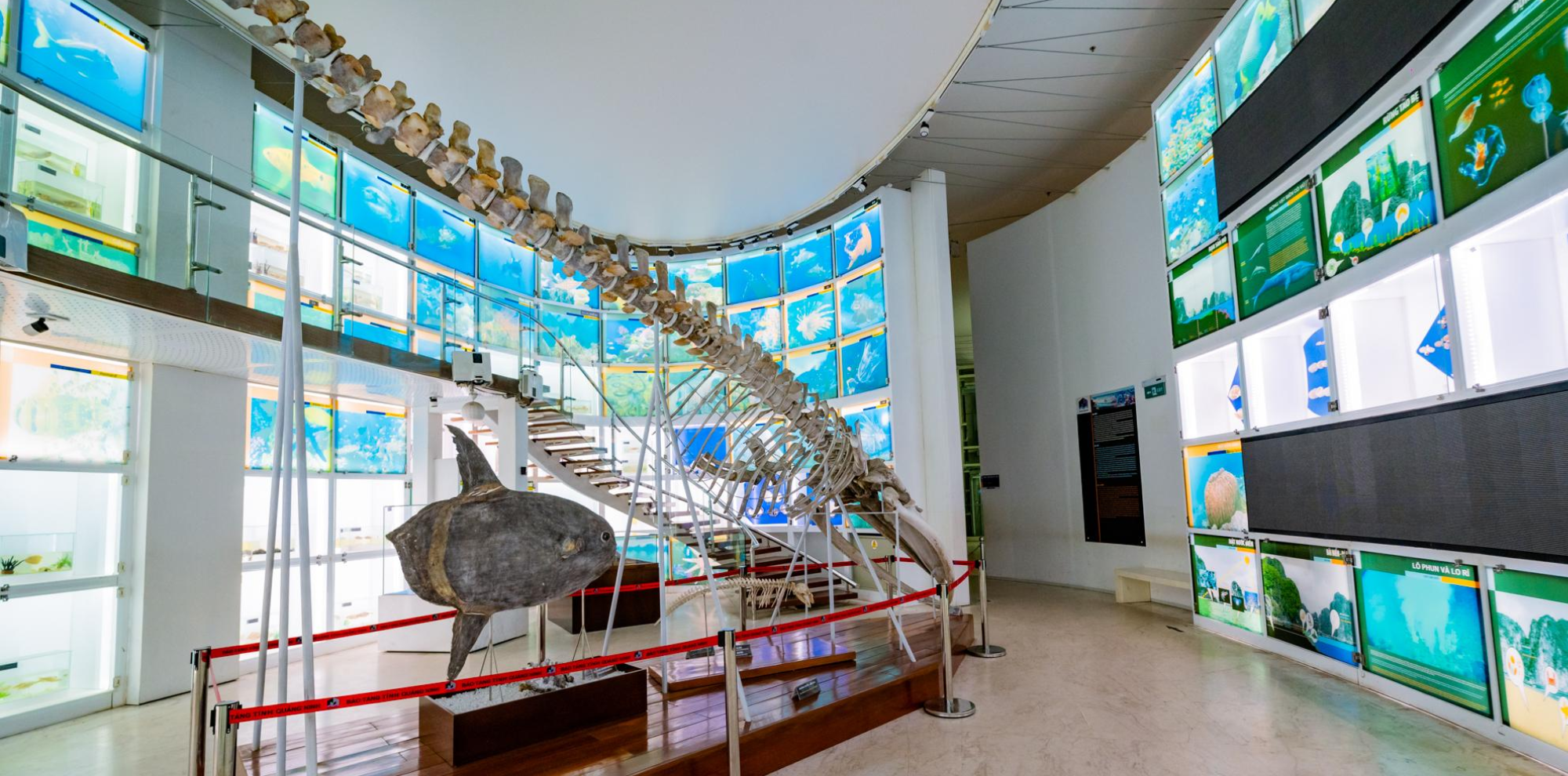 Experience unique architecture and art at Quang Ninh Museum