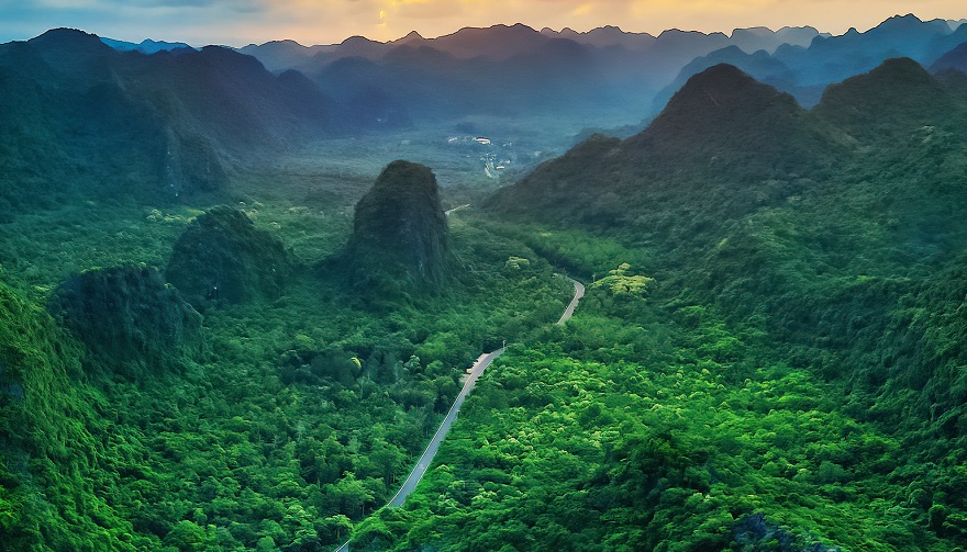 Trek the pristine trails of Cat Ba National Park and spot endangered wildlife