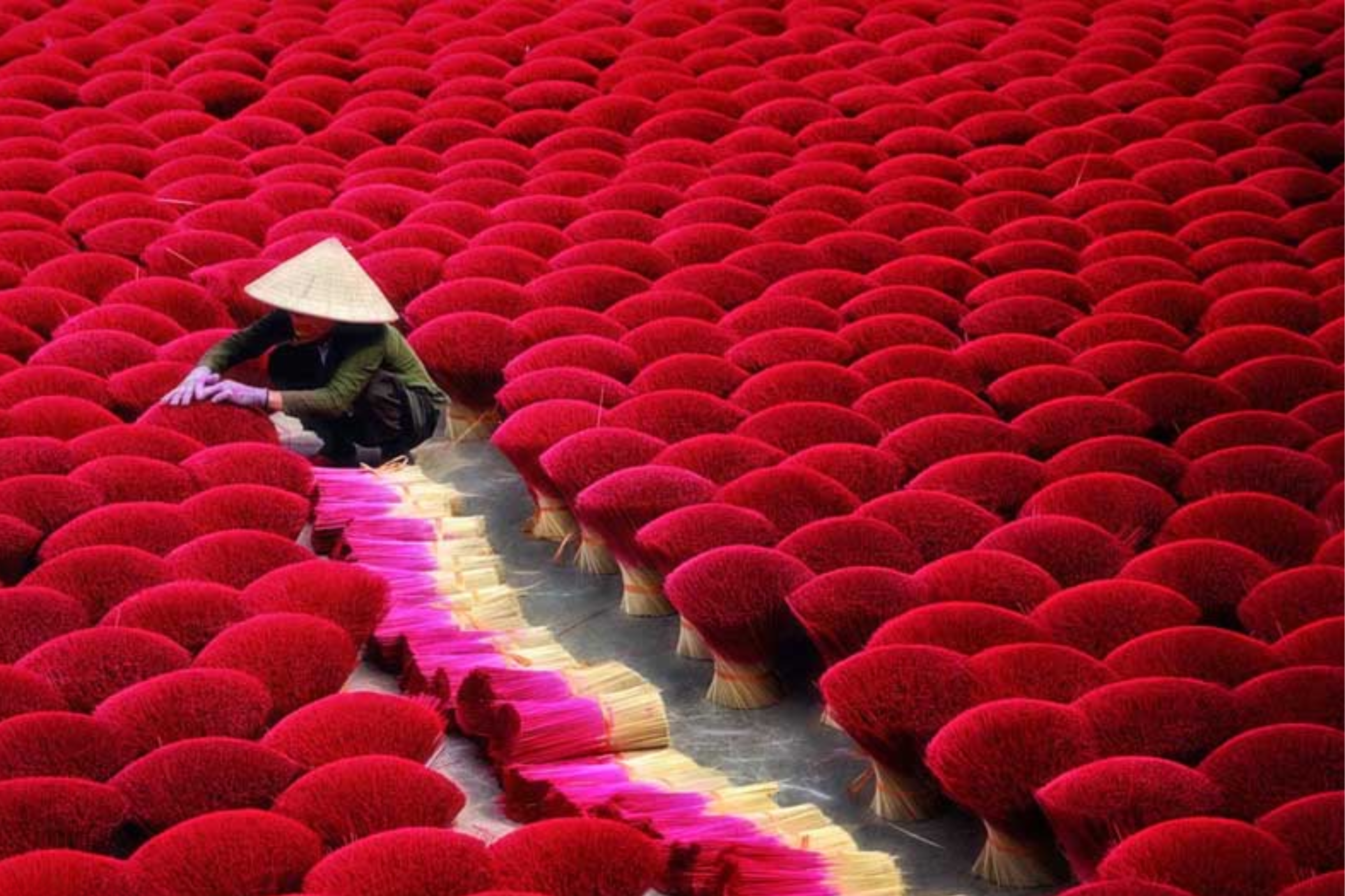 Discover the Art of Traditional Incense Making in Cao Thon Village