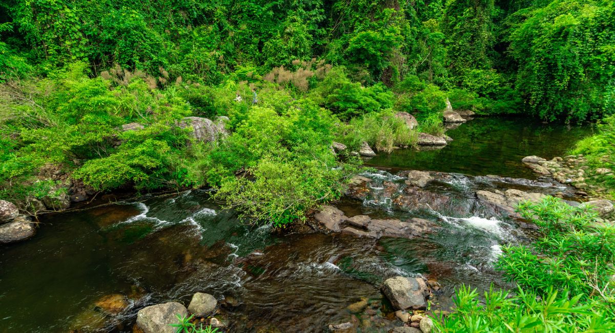 Following the Untouched Trails Through the Pristine Forests of Khe Ro