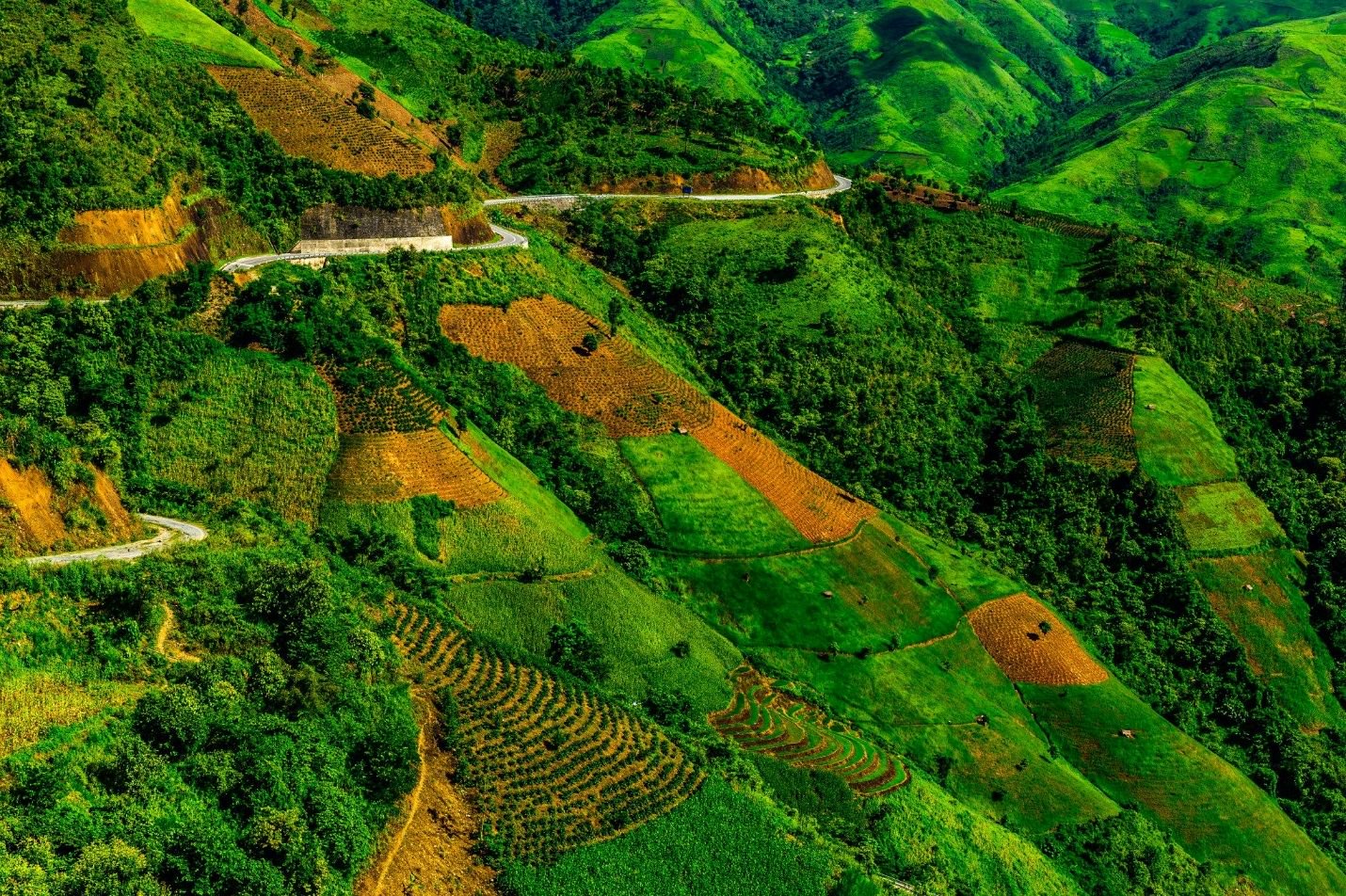 Conquer the Legendary Pha Din Pass – One of Vietnam’s Four Great Mountain Passes
